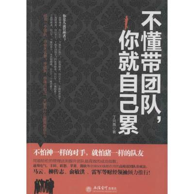 《不懂带团队你就自己累》丁兴良【摘要 书评