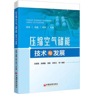 压缩空气储能技术与发展 王富强 等 编 专业科技 文轩网