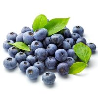 易果生鲜进口水果和七果果 国产蓝莓 6盒 125g