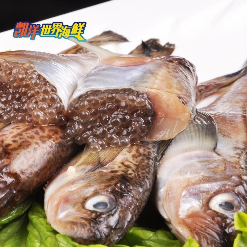 待修改 凯洋世界海鲜朝鲜雷鱼 烧烤海鲜鱼类 丰