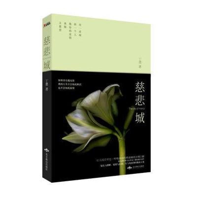 《慈悲城》丁墨【摘要 书评 在线阅读】