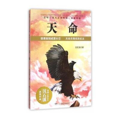 《动物小说大王沈石溪获奖作品:天命》沈石溪