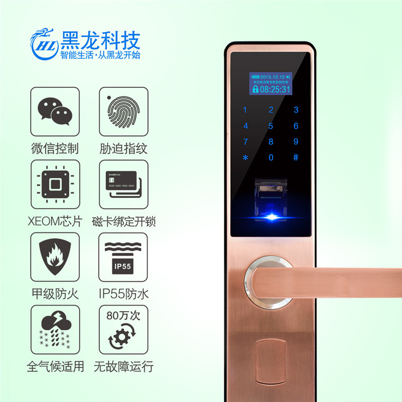黑龙指纹锁A6020 密码锁 刷卡锁 黑龙(Hei Lon