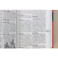 上海辞书出版社语言文字和新华大字典彩色版 