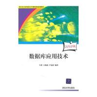 数据库应用技术(审计署计算机审计中级培训系