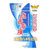 点击专项初中数学方程(组)与不等式(组)(第二次