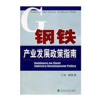 钢铁产业发展政策指南与中级会计职称教材20