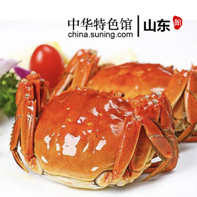 【山东馆】山东东营特产黄河口大闸蟹 提货券 5对公蟹2.9-3.3两;母蟹2.0-2.3两 包邮【中华特色馆】