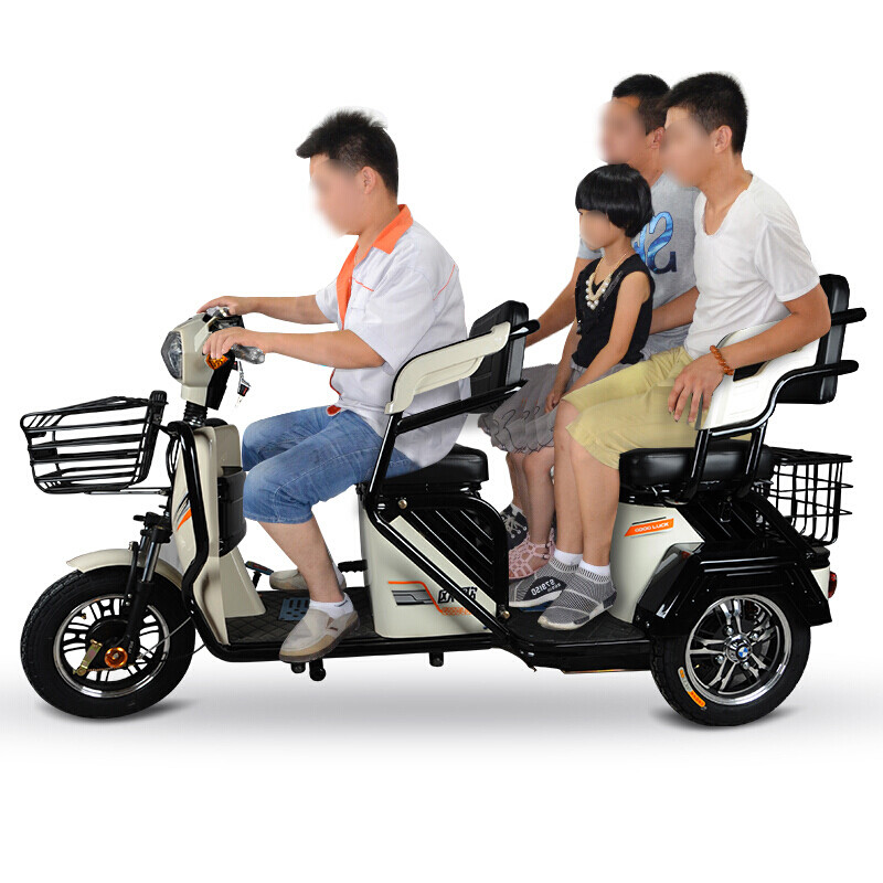 电动车排行榜_微型电动车排行榜(5)