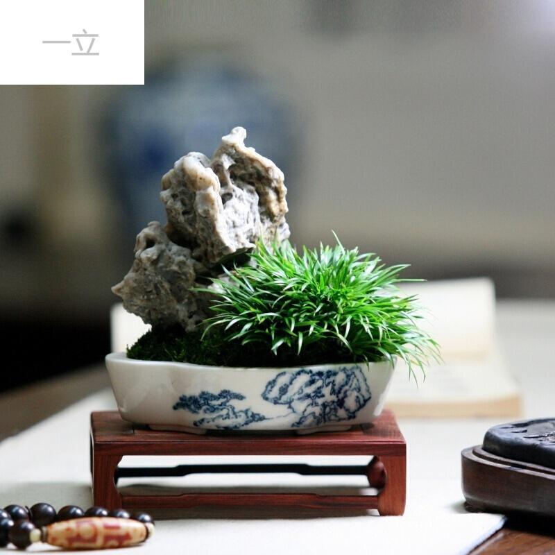 青花盆细叶金钱茶室摆设风凌石禅意案台青松山水盆景二(成品)带盆栽好
