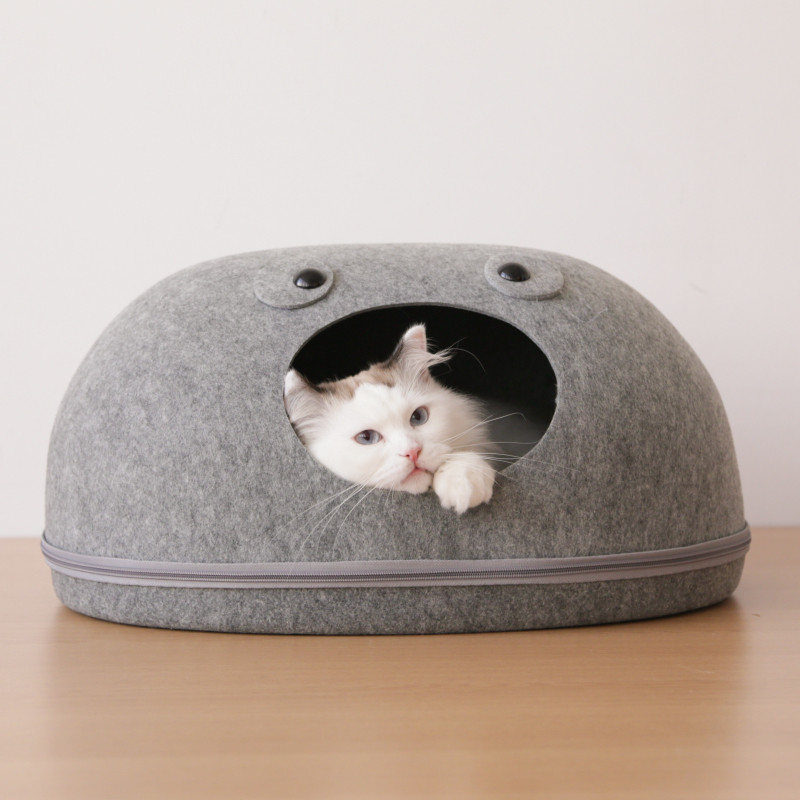 猫窝图片_纵览新闻