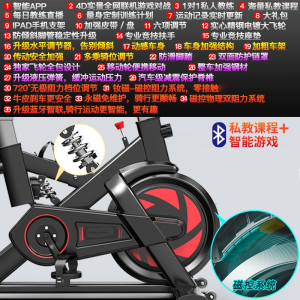 闪电客动感单车室内健身自行车减肥运动单车家用健身器材