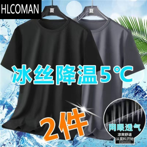 HLCOMAN冰丝t恤男速干夏季短袖上衣网眼男装大码半袖男士运动服印花水洗