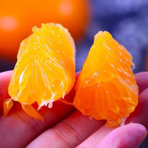 沃柑9斤新鲜水果时令应季整箱正宗云南特产沃柑一级柑橘桔子橘子
