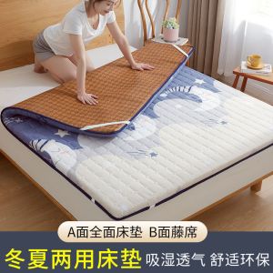 床垫子软垫加厚宿舍单人垫被冬夏季凉席两用折叠垫褥子家用