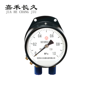 嘉禾长久/双针双管压力表/YZS-102/110V带灯/块