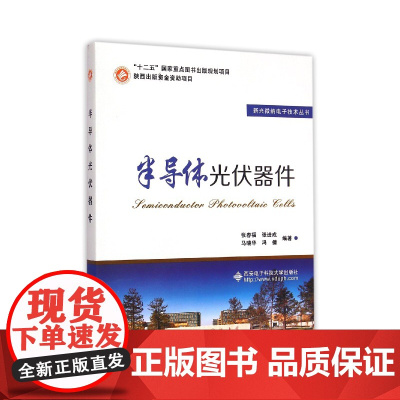 半导体光伏器件/新兴微纳电子技术丛书