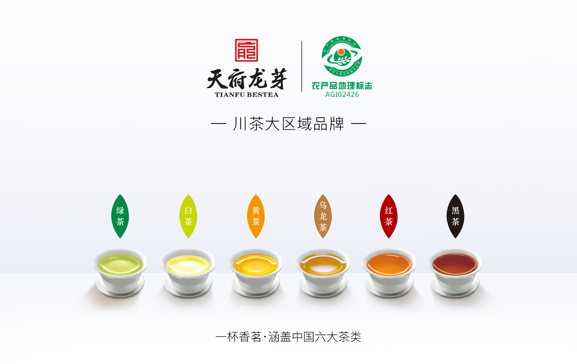 川茶集团官方旗舰店