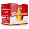 百威啤酒箱装600ml*12