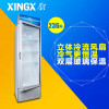 星星(XINGX) LSC-23C 236升 立式冷柜