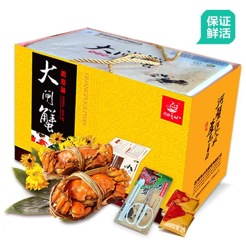 实物现货 全母蟹大只套餐 膏黄饱满 正宗阳澄湖大闸蟹母螃蟹2.6-2.9两 八只装