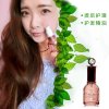 忆丝芸摩洛哥护发精油50ML 保湿补水 柔顺光泽