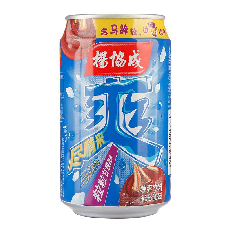 杨协成马蹄爽罐装300ml