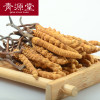 青源堂 冬虫夏草 精选3条/g 50g礼盒
