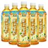 康师傅茉莉蜜茶 2L