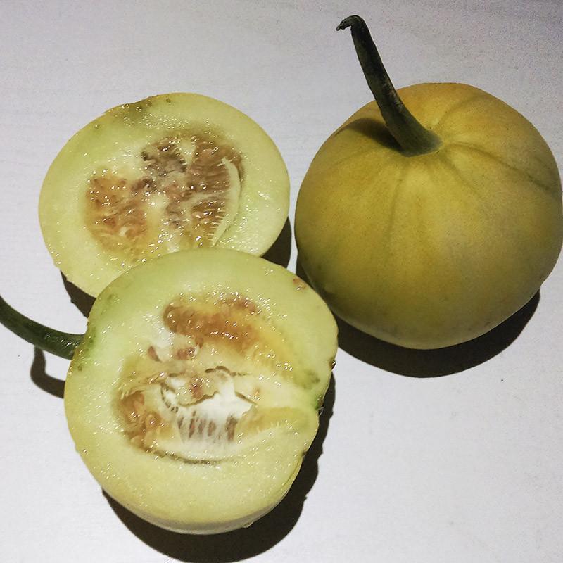 草鲜禾堂 蜜宝王甜瓜 3斤装