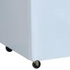 雪村(Xuecun)BD/BC-958 卧式冷柜 商用展示柜