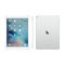 Apple iPad Pro 平板电脑（12.9英寸 128G WLAN版 A9X芯片 Retina屏 ML0Q2CH/A）银色