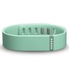Fitbit Flex时尚智能乐活手环-蓝青色