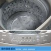 Sanyo/三洋 DB100US 10kg大容量波轮洗衣机 抗菌家用全自动变频洗衣机