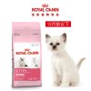 ROYAL CANIN 皇家猫粮 K36 幼猫猫粮 2kg