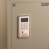 驰球白鲨密码办公家用保险柜保险箱FDG-A1/D-60BS3
