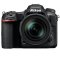 尼康(Nikon) D500（14-24mm）数码单反相机 单镜头套装 约2088万像素