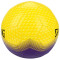 斯伯丁SPALDING足球5号奇才系列耐磨机缝训练球 64-927Y黄紫色 5号 64-927Y黄紫色