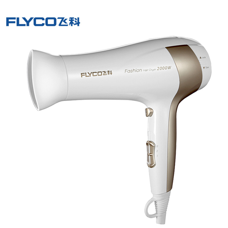 飞科 (FLYCO) 电吹风 FH6232
