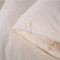 星级酒店羽绒被 冬被加厚 鸭绒被芯全棉 单双人被子 200*230cm 咖啡