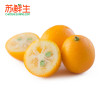 【苏鲜生】广西桂林金桔1kg