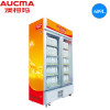 澳柯玛(AUCMA)609升双开门立式展示柜 超市保鲜冰箱商用冷藏冷柜 啤酒饮料柜 立式陈列柜冷藏柜SC-609