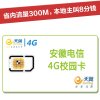 铜陵天翼4G校园卡（9元/月=100分钟本地长市话+300M省内流量）
