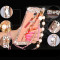 JSB 镜面水钻支架金属边框后背板珍珠链手机壳保护套 适用于乐视1pro/X800 玫瑰金-爱心-皇冠+珍珠挂链