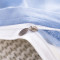 南极人(NanJiren)家纺 ins简约四件套单双人床单臻丝棉缎轻奢风被套1.8米网红款2.0m床上用品 芳菲-湖蓝 适用1.5/1.8m床-被套200×230cm