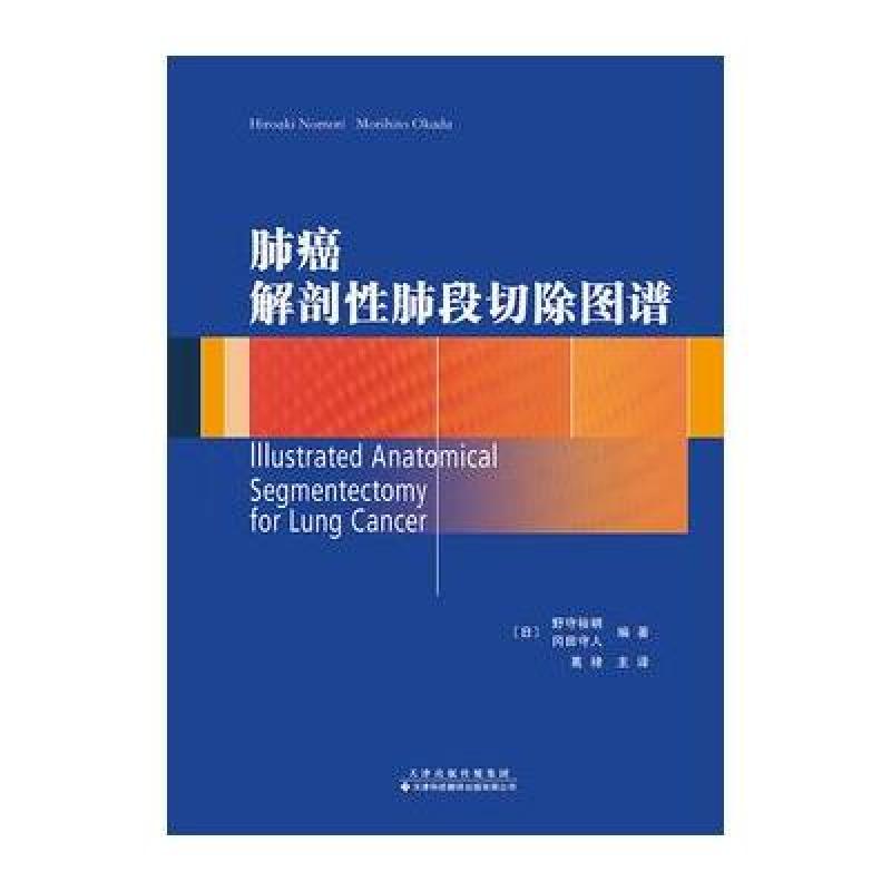 肺癌解剖性肺段切除图谱