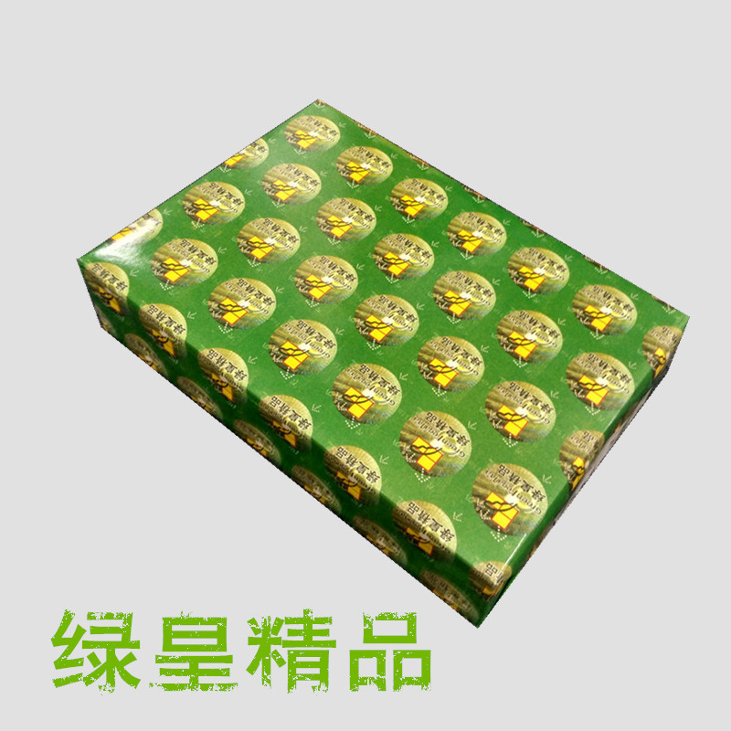 绿皇精品彩色复印纸A5 80g浅色：粉红，浅蓝，浅绿，浅黄500张/包10包/箱