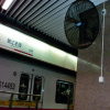 德通 升降落地式密网牛角扇（220V, ￠750mm， 18120 m^3/h） DF750-T(落地式)