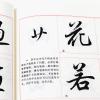 华夏万卷字帖 田英章毛笔行书入门教程:笔法偏旁