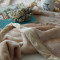 丹杰 秋冬毛毯加厚双层保暖不掉毛单人双人毯毛毯加大 法兰绒毛毯 毯子珊瑚绒空调毯纯色素色简约风 蓝色 1.8*2.0m